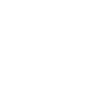 Logo Swietelsky 1