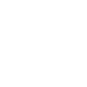 Logo Ace