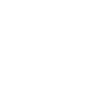 Logo Brainport