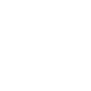 Logo Brita