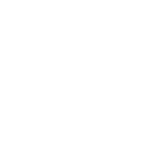 Logo Chronisch Zorgnet