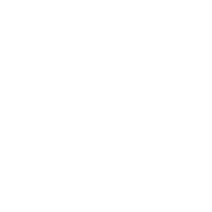 Logo Fontys