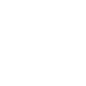 Logo Hubble