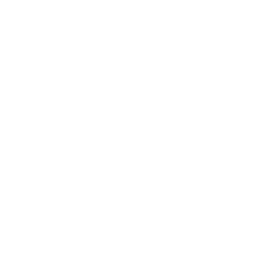 Logo Nuenens college