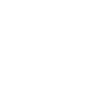 Logo Schulinck