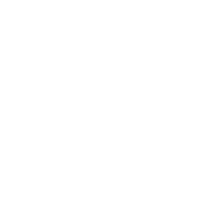 Logo Strijp T