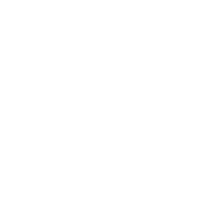 Logo Vanderlande
