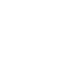 Logo Volantis