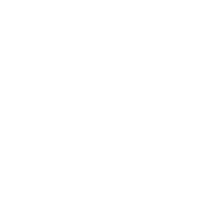 Logo gemeente Eindhoven