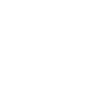 Logo number42
